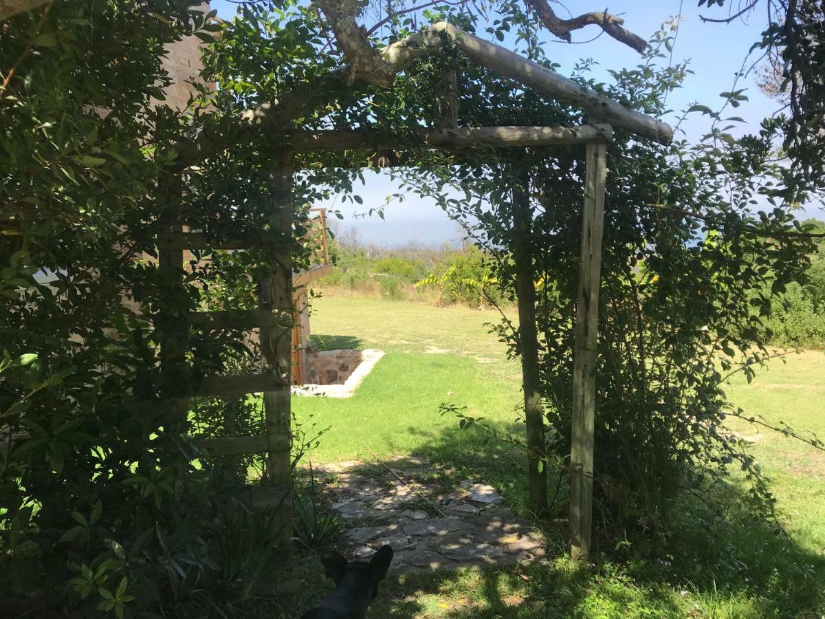 Trinity Farm Ocean View Cottage Plettenberg Bay Eksteriør bilde